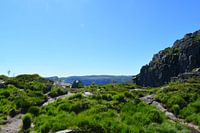 Preikestolen, Norway 2022