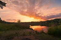 Sunset at the Staalbergven - Oisterwijkse Bossen en Vennen
