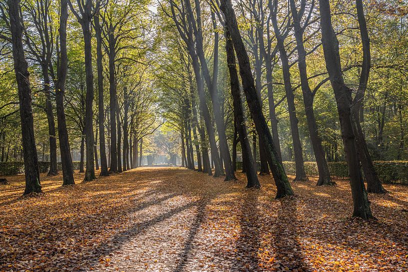 Sunny autumn day at Beeckestijn estate by Jeroen de Jongh Photography