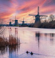 Coucher de soleil à Kinderdijk