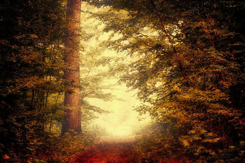 Breda Liesbos in the fog by Egon Zitter