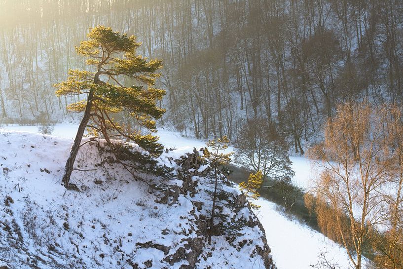 Schnee auf der schwäbischen Alb zum Sonnenaufgang mit Fluss im Tal. Kleines Lautertal von Daniel Pahmeier