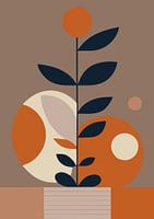 Shapes of Nature (5)