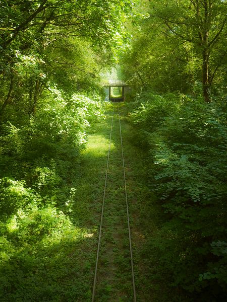 Eisenbahn von Willemijn Wolthaus