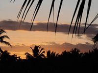 Sonnenaufgang neugierig sein