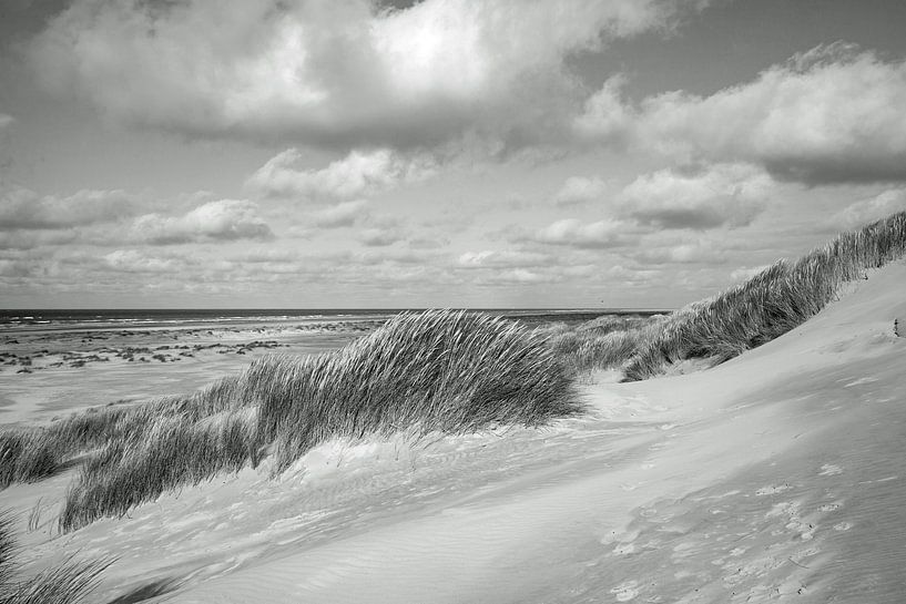 Dünen- und Meereslandschaft von Terschelling von Helga Kuiper