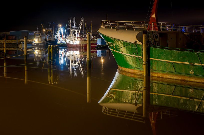 Fenny von Jan Georg Meijer