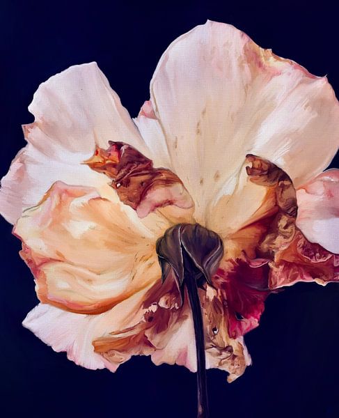 Not just a rose by NMG