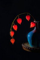 Chinese Lantern
