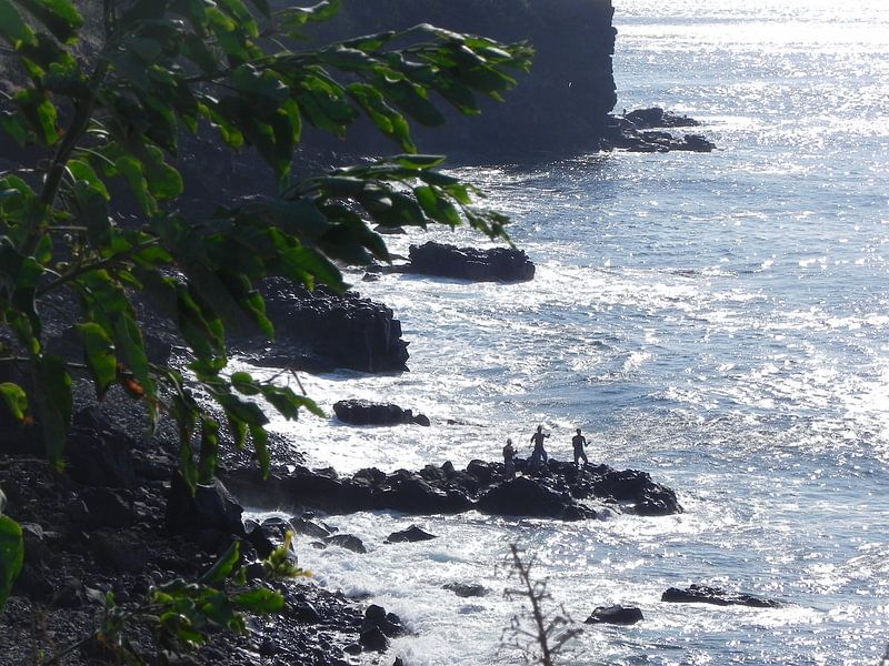 Rots kust van madeira par Ingrid Van Maurik