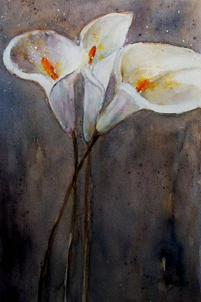 Calla Three flowers by Christine Nöhmeier