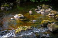 Moosige Steine in einem Fluss