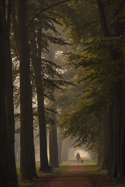 Morning walk with the dog by Moetwil en van Dijk - Fotografie
