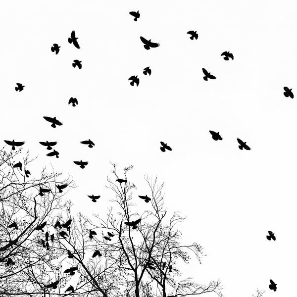 Get out of the frame van Martijn Schruijer