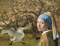 The endangered swan is scared of the girl with the pearl earring