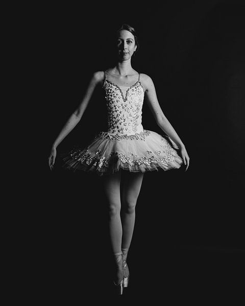 L'Art du Ballet (The Art of Ballet) by FotoDennis.com | Werk op de Muur