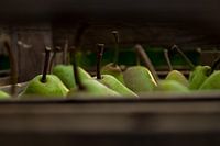 Organic Dutch pears