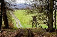 La route à travers la forêt