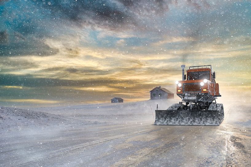 Flatruet dans la neige par Arjen Roos