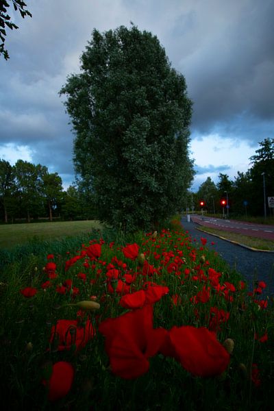 Entlang der Straße von peterheinspictures