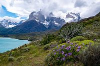 Torres del Paine, Chile