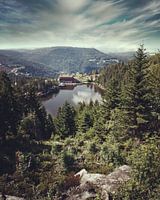 Black Forest, Mummelsee