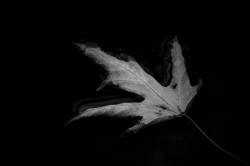 Bliss par Dick Nieswaag