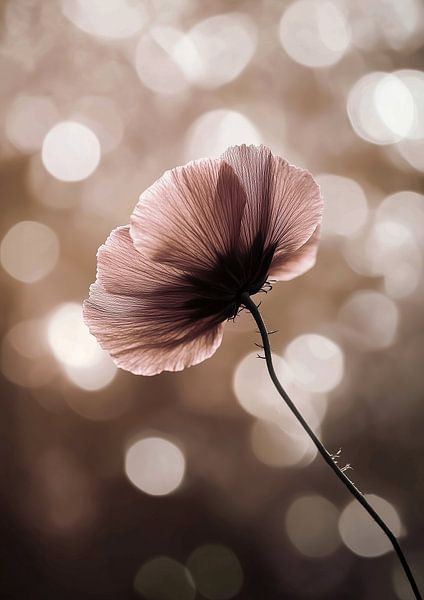 Bokeh symphony in Brown and Old Pink by Bianca ter Riet