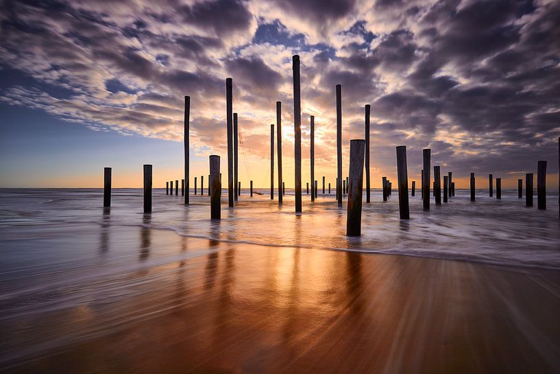 Palendorp Petten von Peter de Jong