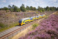 A double-decker train along the heathland at Assel Station
