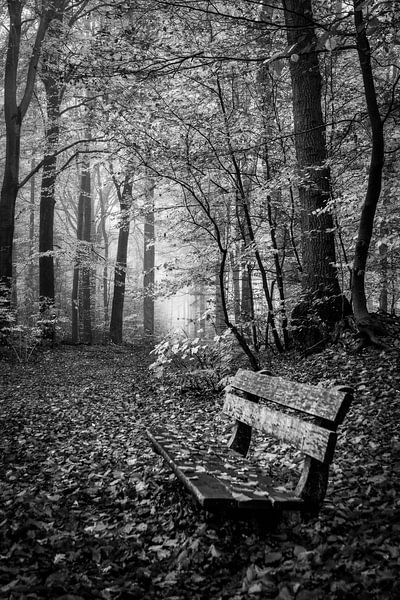 Time to rest by Joost Lagerweij