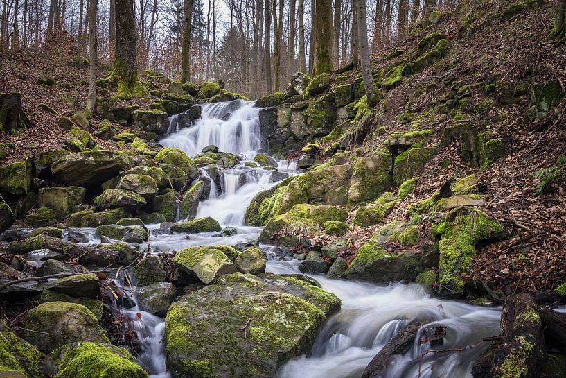 Wild beech stream by Jürgen Schmittdiel Photography