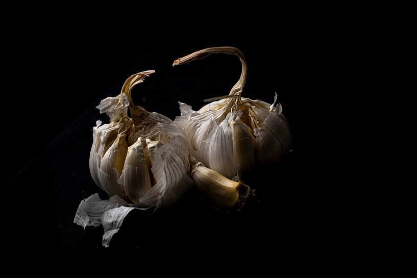 Garlic still life by SO fotografie