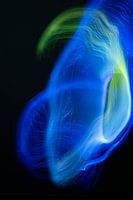 Stoere light paint in de kleuren groen en blauw.