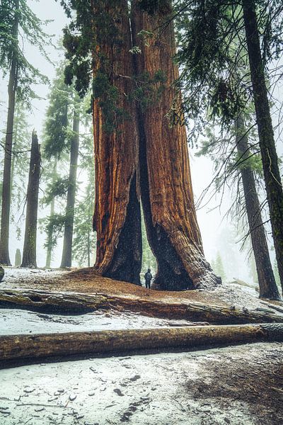 Qui pensons-nous que nous sommes? par Loris Photography