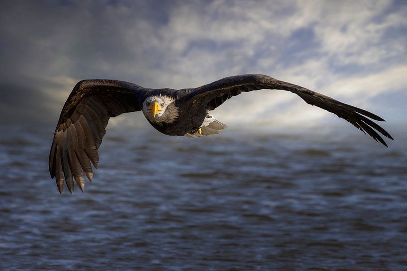 Le vol par Karin aan de muur