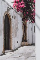 White street of Lindos with the Bougainvillea