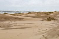 Pays de dunes