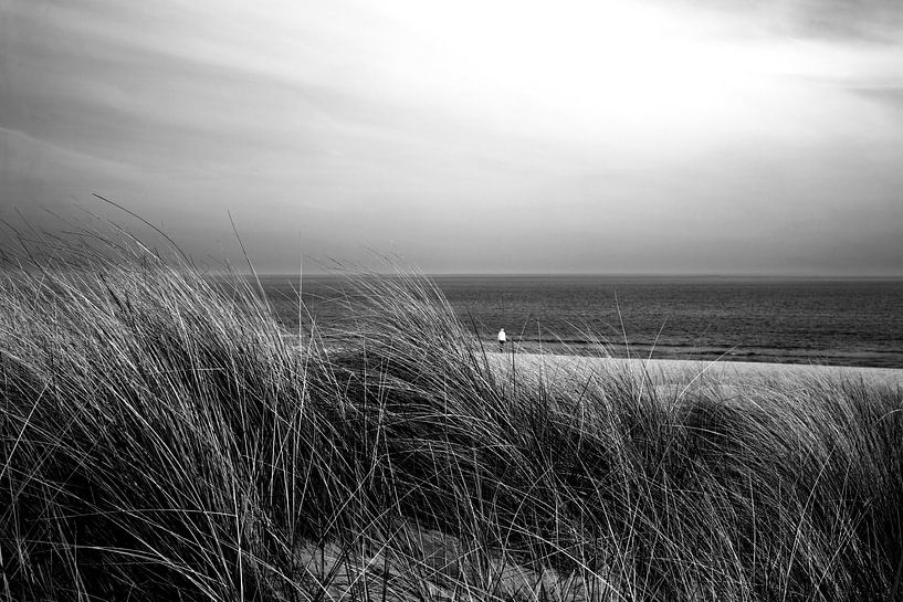 On the beach of the Baltic Sea by Frank Herrmann