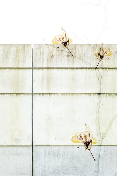 Mur de branches par Akira Peperkamp