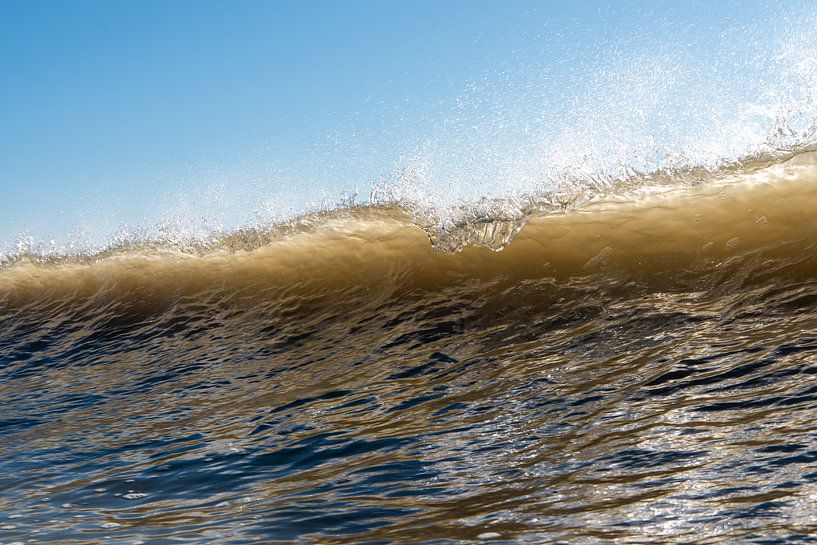 Breaking wave by Rob Donders Beeldende kunst