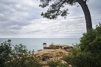 Fischerhütten & Bäume