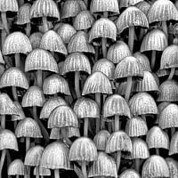 It´s busy in nature