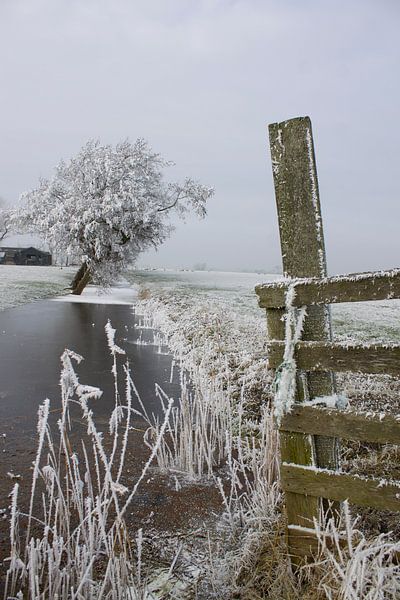 Hiver par Mirjam Duizendstra