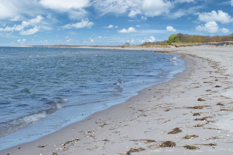 Sur la plage de sable de la mer Baltique par Martin Köbsch