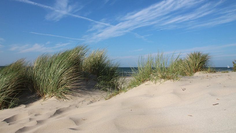 Dune landscape by Ostsee Bilder