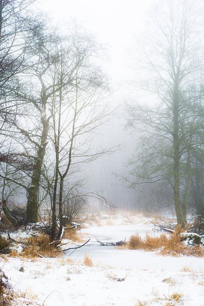 Féerie Hivernale von Olivier Chattlain