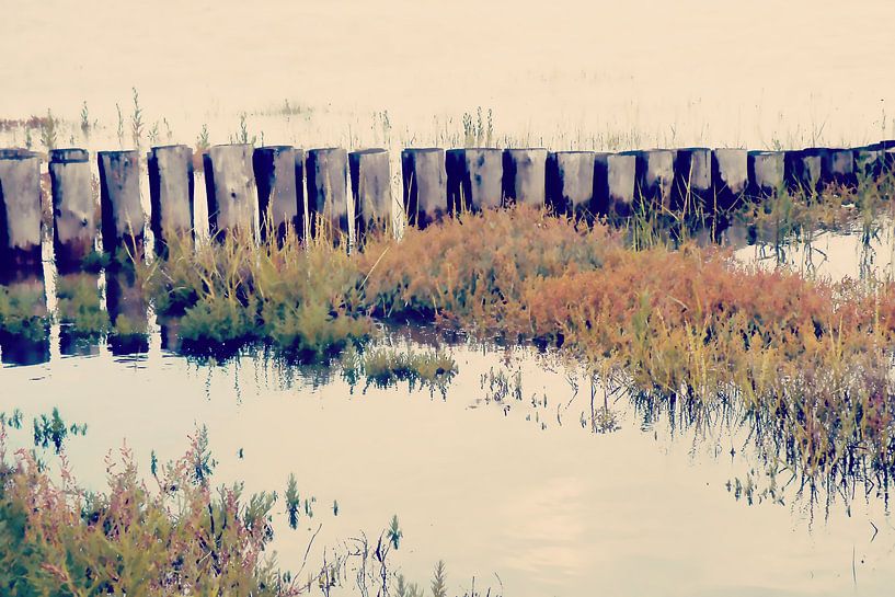 Am Wattenmeer no6 von Pia Schneider