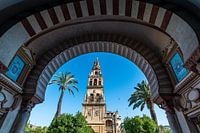 tower of the Mezquita in Cordoba, Andalusia, Spain