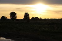Setting sun Meinerswijk Nature Park